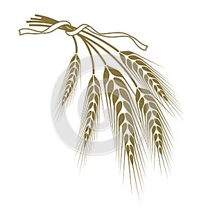 Wheat tied with a ribbon