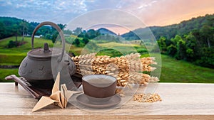 Wheat or Triticum aestivum wheat kernel and tea on wood table isolated nature background