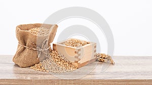 Wheat or Triticum aestivum wheat kernel on wood table isolated on white background with clipping path