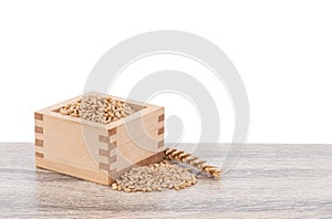 Wheat or Triticum aestivum wheat kernel on wood table isolated on white background with clipping path