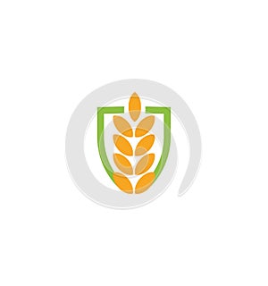 Wheat vector grain icon Isolated abstract orange color wheat ear hearldic logo. Nature element logotype. Agricultural