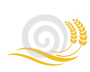 wheat vector icon