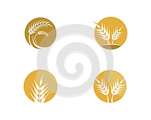 Wheat vector icon illustration