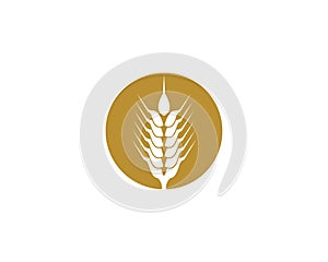 Wheat vector icon illustration