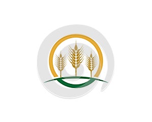 Wheat vector icon illustration