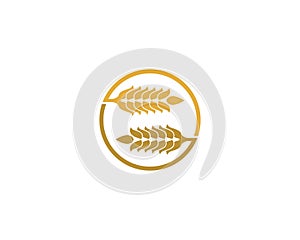 Wheat vector icon illustration