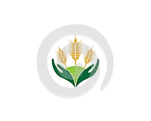 Wheat vector icon illustration