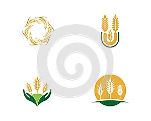 Wheat vector icon illustration