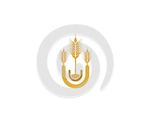 Wheat vector icon illustration