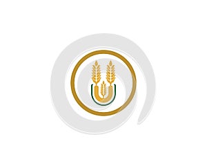 Wheat vector icon illustration