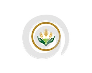 Wheat vector icon illustration