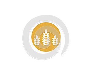 Wheat vector icon illustration