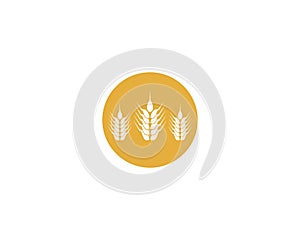 Wheat vector icon illustration