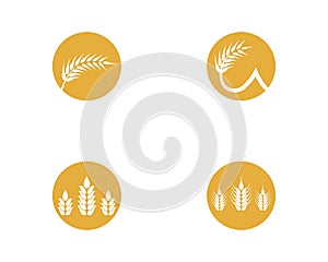 Wheat vector icon illustration