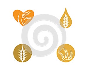 Wheat vector icon illustration