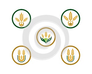 Wheat vector icon illustration