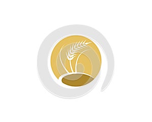 Wheat vector icon illustration