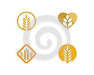 Wheat vector icon illustration