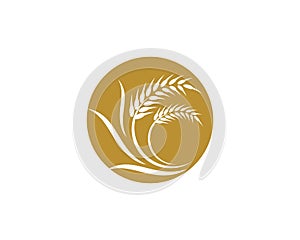 Wheat vector icon illustration