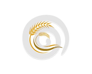 Wheat vector icon