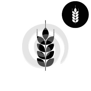 Wheat - white vector icon