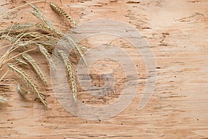 Wheat on wooden background. Top view