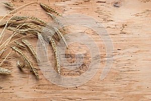 Wheat on wooden background. Top view