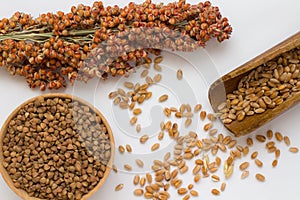 Wheat in wooden spoon, branch sorgo and buckwheat on white background photo