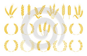 Wheat wreaths. Rice or wheat ears, barley spikes, rye grains and crops. Organic cereal plants ear silhouette, wreath