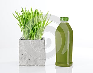 Wheatgrass and bottle of green juice