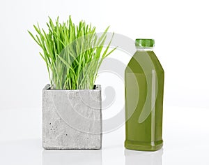 Wheatgrass and bottle of green juice photo