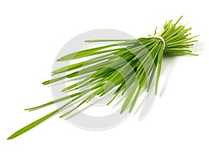 Wheatgrass Bundle - Healthy Nutrition