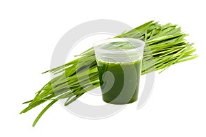 Wheatgrass drink isolated on white background photo