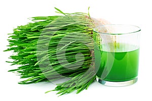 Wheatgrass juice with sprouted wheat