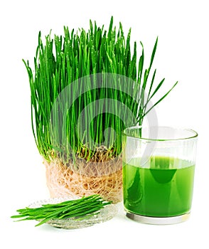 Wheatgrass juice with sprouted wheat on the plate