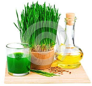 Wheatgrass juice with sprouted wheat and wheat ger