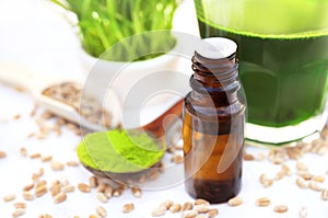 Wheatgrass oil on wheat ears plants and green grass powder background