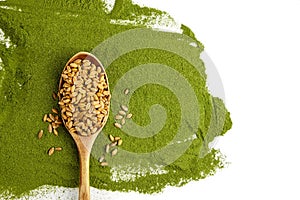 Wheatgrass seeds for sprouting in spoon on weatgrass powder background isolated on white. Top view, copy space