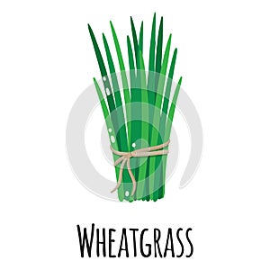 Wheatgrass superfood plant for template farmer market design, label and packing. Natural energy protein organic food