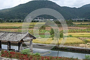 Wheatland and Pavilion under the Mountain in Ancient Town