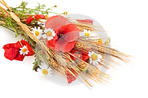 Wheats and poppies in bouquet.