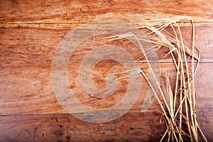 Wheats on wooden table