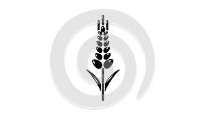 Wheaty wheat icon animation