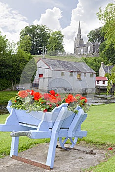 Wheel barrow flowers at castletownroche park