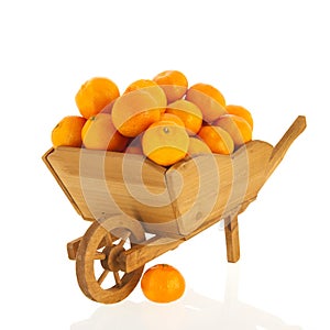 Wheel barrow with tangerines