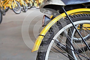 Wheel Bicycles bikes for rent.