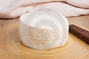 Wheel of brazilian traditional cheese Minas