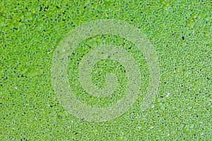 Wheel car track on wet cement concrete floor for background