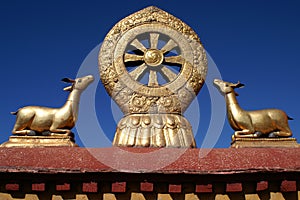 Wheel of dharma photo