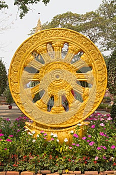 Wheel of Dharma texture or wheel of life, symbol of Buddhism , W